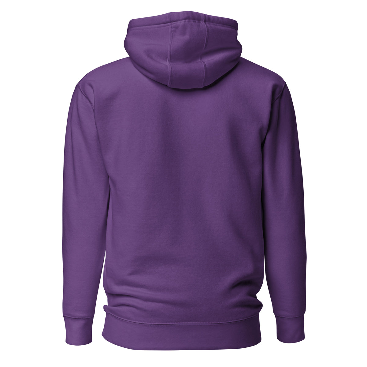 Fondation Hoodie - Sky Blue - BlitzandBro- Hoodie